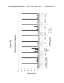 SIRNA TARGETING CATENIN, BETA-1 (CTNNB1) diagram and image