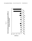 SIRNA TARGETING CATENIN, BETA-1 (CTNNB1) diagram and image