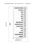 SIRNA TARGETING CATENIN, BETA-1 (CTNNB1) diagram and image