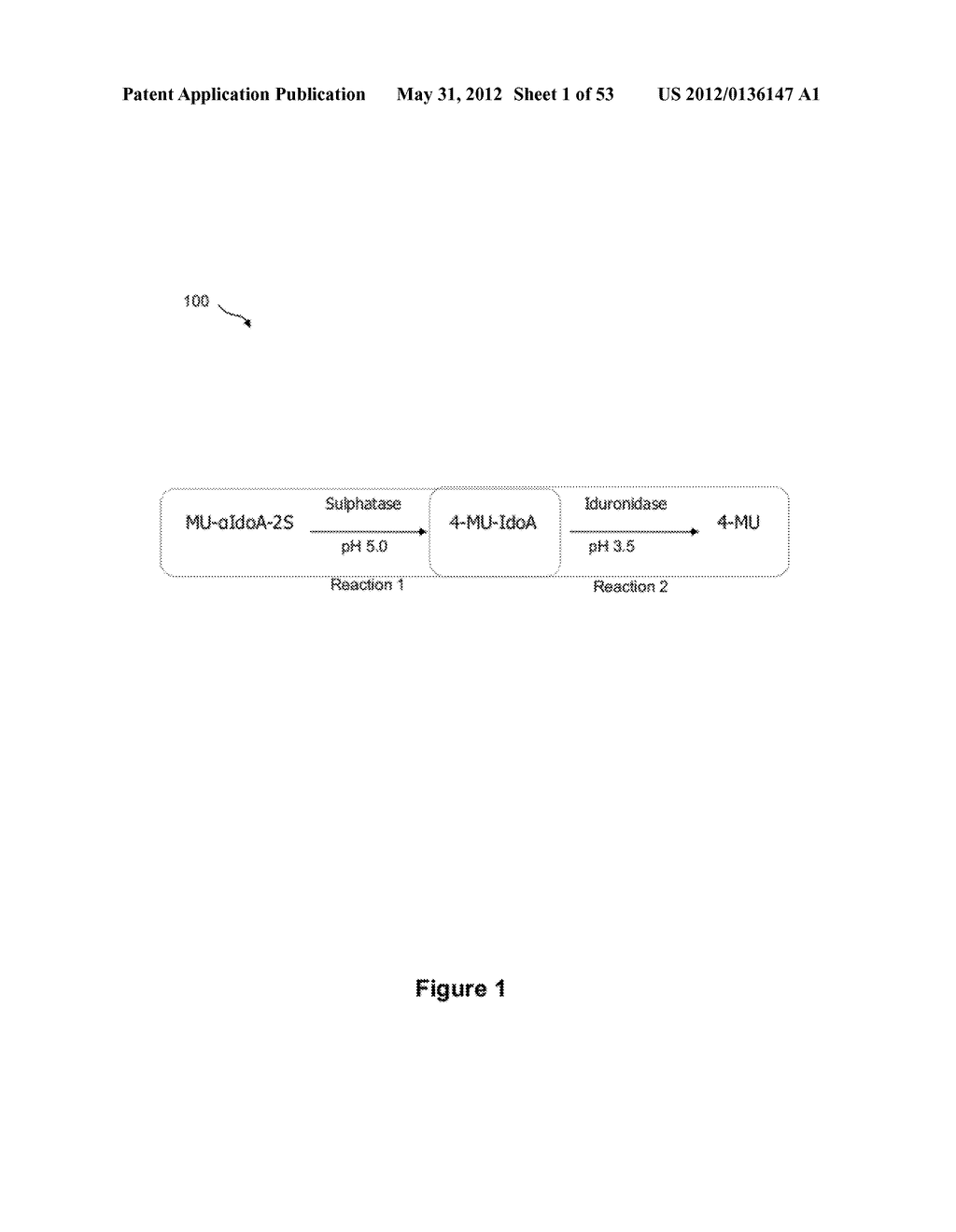 Method of hydrolyzing an enzymatic substrate - diagram, schematic, and image 02