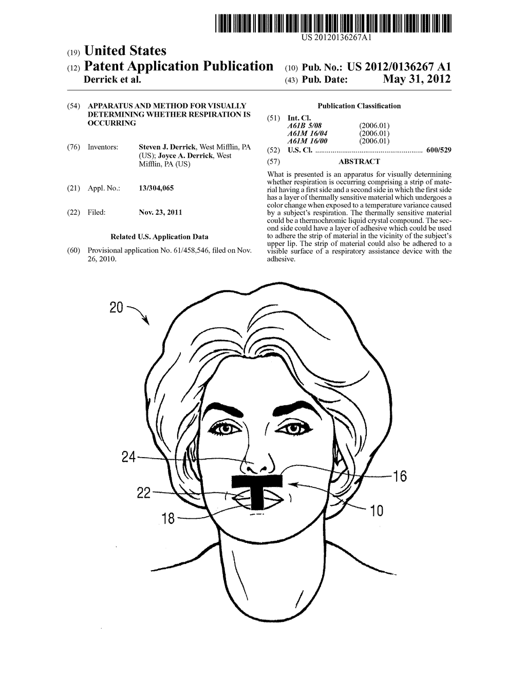 Apparatus and Method For Visually Determining Whether Respiration is     Occurring - diagram, schematic, and image 01