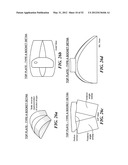 SPINAL PROSTHESIS AND FACET JOINT PROSTHESIS diagram and image