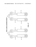 SPINAL PROSTHESIS AND FACET JOINT PROSTHESIS diagram and image