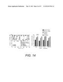 DISTORTION-AWARE MULTIHOMED SCALABLE VIDEO STREAMING TO MULTIPLE CLIENTS diagram and image