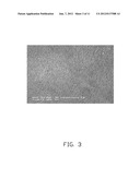 SHUTTER BLADE AND SHUTTER USING THE SAME diagram and image