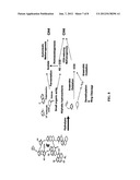 METHODS TO STIMULATE BIOGENIC METHANE PRODUCTION FROM HYDROCARBON-BEARING     FORMATIONS diagram and image