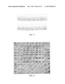 ELECTRO-BLOTTING DEVICES, SYSTEMS, AND KITS AND METHODS FOR THEIR USE diagram and image