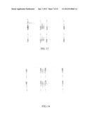 ELECTRO-BLOTTING DEVICES, SYSTEMS, AND KITS AND METHODS FOR THEIR USE diagram and image