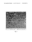 DEVICE FOR AND METHOD OF GENERATING OZONE diagram and image