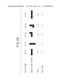 TWO-DIMENSIONAL CODE HAVING RECTANGULAR REGION PROVIDED WITH SPECIFIC     PATTERNS FOR SPECIFY CELL POSITIONS AND DISTINCTION FROM BACKGROUND diagram and image