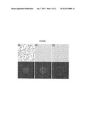 NON-CRYSTALLINE MATERIALS HAVING COMPLETE PHOTONIC, ELECTRONIC, OR     PHONONIC BAND GAPS diagram and image