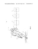 SYSTEM AND METHOD FOR WIRELESS MONITORING OF SPORTS ACTIVITIES diagram and image