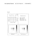 PORTABLE INDUSTRIAL LIMITED ANGLE GAMMA-RAY TOMOGRAPHY SCANNING SYSTEM diagram and image