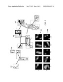 SKETCH RECOGNITION SYSTEM diagram and image