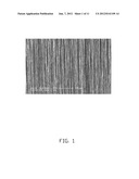 FRICTION MEMBER FOR BRAKE MECHANISM AND CAMERA SHUTTER USING THE SAME diagram and image