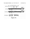 ANTIBODY COMPOSITIONS, METHODS FOR TREATING NEOPLASTIC DISEASE AND METHODS     FOR REGULATING FERTILITY diagram and image