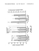 Use of creatine or creatine compounds for skin preservation diagram and image