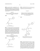 METHODS OF MODULATING THE ACTIVITY OF THE MC1 RECEPTOR AND TREATMENT OF     CONDITIONS RELATED TO THIS RECEPTOR diagram and image