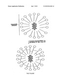 NANOSCOPIC HAIR CARE PRODUCTS diagram and image