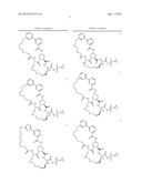 Bimacrocylic HCV NS3 Protease Inhibitors diagram and image