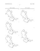 Bimacrocylic HCV NS3 Protease Inhibitors diagram and image