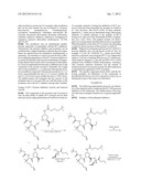 Bimacrocylic HCV NS3 Protease Inhibitors diagram and image