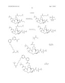 Bimacrocylic HCV NS3 Protease Inhibitors diagram and image