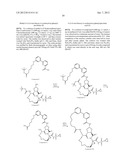 Bimacrocylic HCV NS3 Protease Inhibitors diagram and image