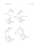 Bimacrocylic HCV NS3 Protease Inhibitors diagram and image