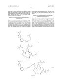 Bimacrocylic HCV NS3 Protease Inhibitors diagram and image