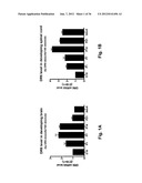 Use of DR6 and p75 Antagonists to Promote Survival of Cells of the Nervous     System diagram and image