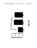 Use of DR6 and p75 Antagonists to Promote Survival of Cells of the Nervous     System diagram and image