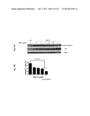 Use of DR6 and p75 Antagonists to Promote Survival of Cells of the Nervous     System diagram and image