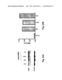 Use of DR6 and p75 Antagonists to Promote Survival of Cells of the Nervous     System diagram and image