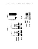 Use of DR6 and p75 Antagonists to Promote Survival of Cells of the Nervous     System diagram and image