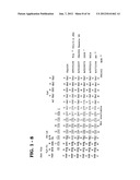 METHODS AND COMPOSITIONS FOR DIAGNOSIS AND TREATMENT OF B CELL CHRONIC     LYMPHOCYTIC LEUKEMIA diagram and image