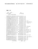 METHODS AND COMPOSITIONS FOR DIAGNOSIS AND TREATMENT OF B CELL CHRONIC     LYMPHOCYTIC LEUKEMIA diagram and image