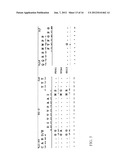 METHODS AND COMPOSITIONS FOR DIAGNOSIS AND TREATMENT OF B CELL CHRONIC     LYMPHOCYTIC LEUKEMIA diagram and image