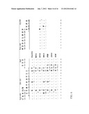 METHODS AND COMPOSITIONS FOR DIAGNOSIS AND TREATMENT OF B CELL CHRONIC     LYMPHOCYTIC LEUKEMIA diagram and image