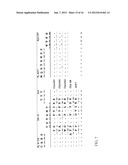 METHODS AND COMPOSITIONS FOR DIAGNOSIS AND TREATMENT OF B CELL CHRONIC     LYMPHOCYTIC LEUKEMIA diagram and image