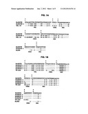 FcGammaRIIB Specific Antibodies and Methods of Use Thereof diagram and image