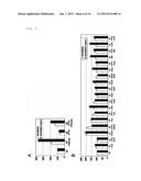 NOVEL G PROTEIN COUPLED RECEPTOR PROTEIN AND USE THEREOF diagram and image