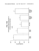 SPECIFIC BINDING AGENTS OF HUMAN ANGIOPOIETIN-2 diagram and image