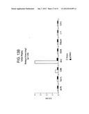 SPECIFIC BINDING AGENTS OF HUMAN ANGIOPOIETIN-2 diagram and image