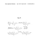 MONOMETHYLVALINE COMPOUNDS CAPABLE OF CONJUGATION TO LIGANDS diagram and image