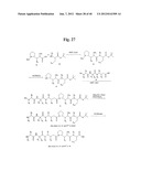 MONOMETHYLVALINE COMPOUNDS CAPABLE OF CONJUGATION TO LIGANDS diagram and image