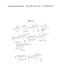 MONOMETHYLVALINE COMPOUNDS CAPABLE OF CONJUGATION TO LIGANDS diagram and image