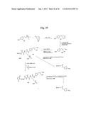 MONOMETHYLVALINE COMPOUNDS CAPABLE OF CONJUGATION TO LIGANDS diagram and image