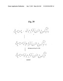 MONOMETHYLVALINE COMPOUNDS CAPABLE OF CONJUGATION TO LIGANDS diagram and image