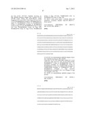 MONOMETHYLVALINE COMPOUNDS CAPABLE OF CONJUGATION TO LIGANDS diagram and image